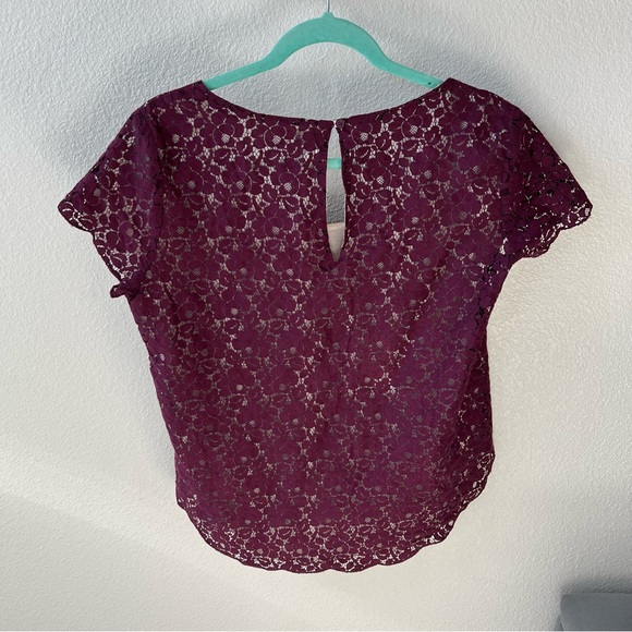 TALULA Short Sleeve Lace Top - Picture 4 of 9